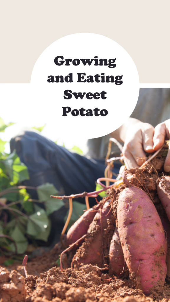 Unlocking the Nutritional Magic of Sweet Potatoes