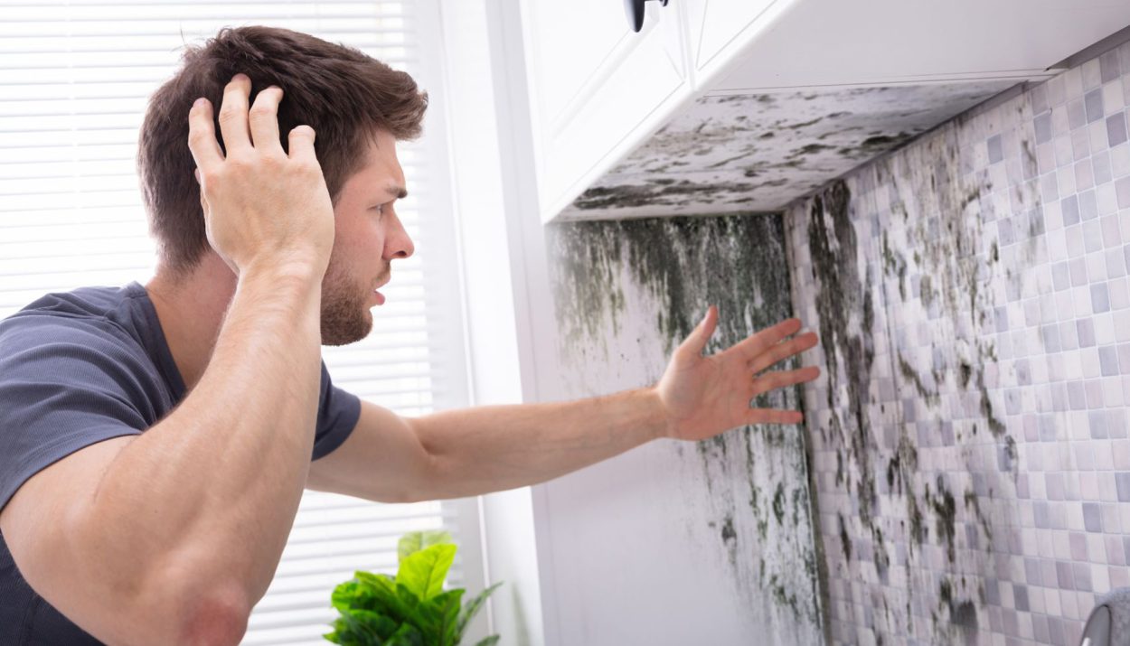 Exterior mildew has a knack for sneaking into your home – but fear not, this simple DIY fix has got you covered.